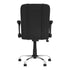 Oklahoma Wildcatters Curve Task Chair - Back View