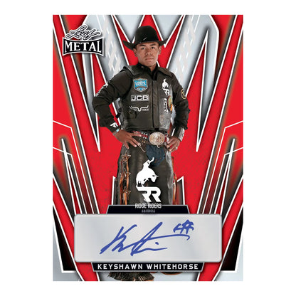 Leaf Metal PBR Trading Cards