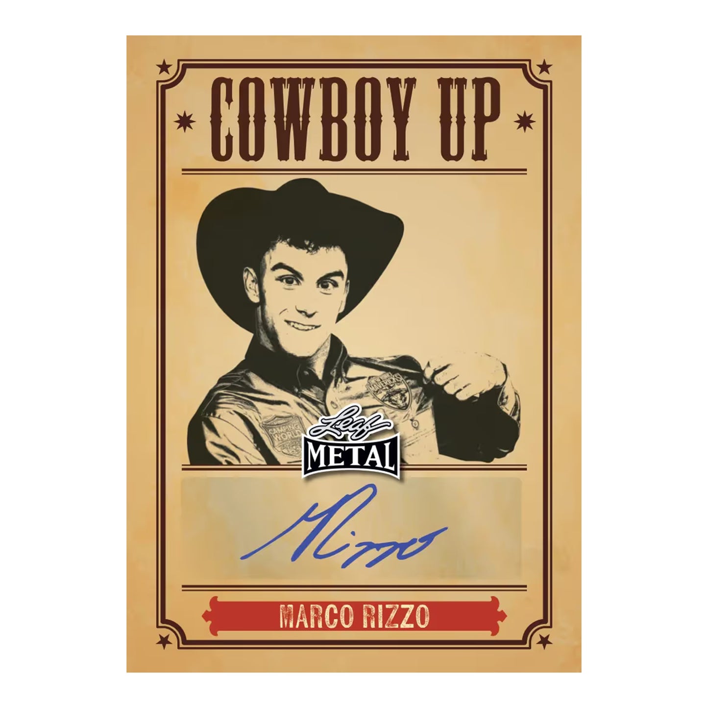 Leaf Metal PBR Trading Cards