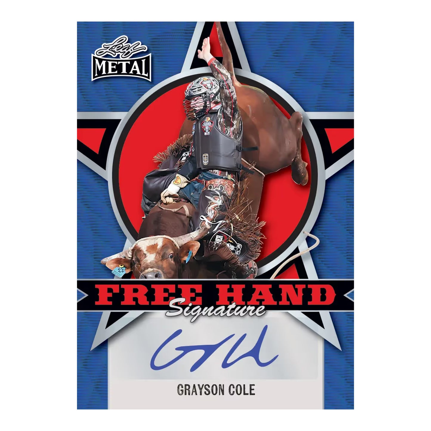 Leaf Metal PBR Trading Cards