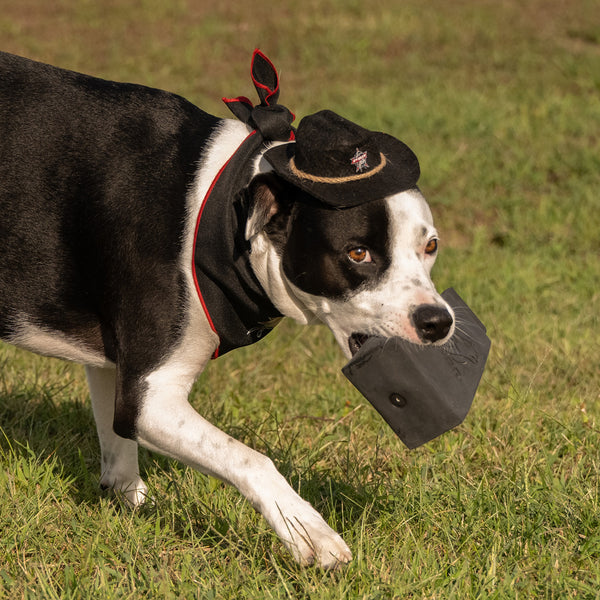 PBR Bell Squeaky Toy - Zoomed in Dog With Toy Front View