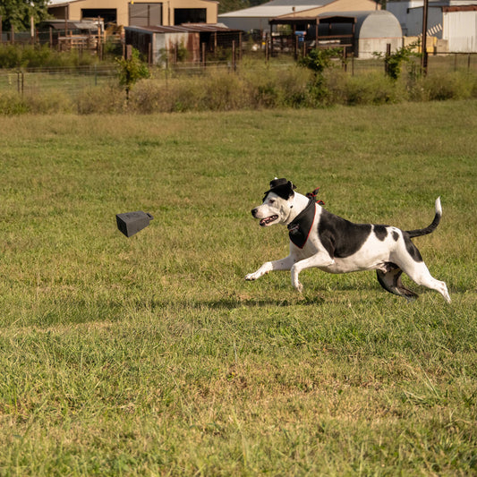 PBR Bell Squeaky Toy - Dog Chasing Toy Left Side View