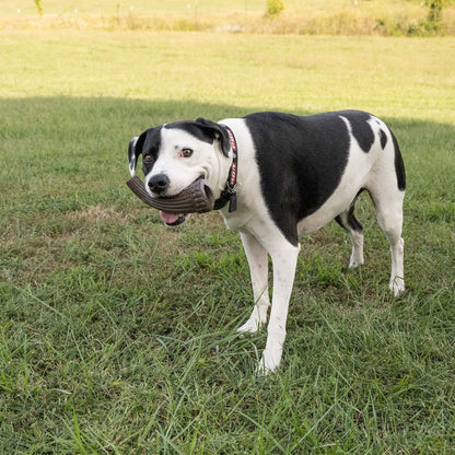 PBR Small Chew and Treat Bull Horn - Dog with Toy Front View