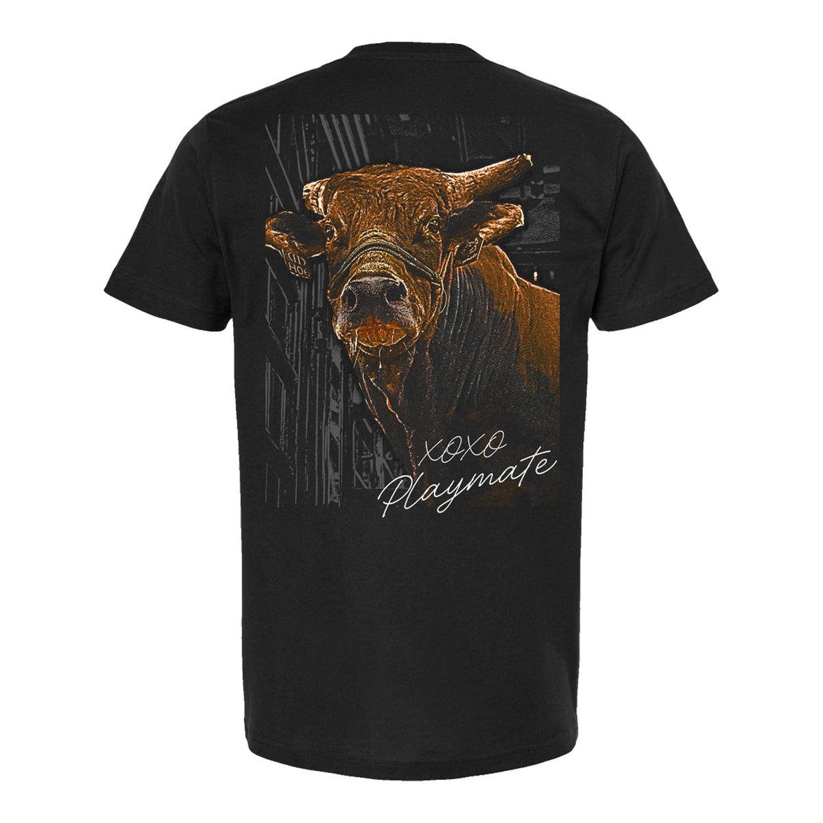 PBR Dana White's XOXO Playmate T-Shirt - Black